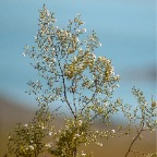 HD-004.jpg