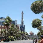 LV-005.jpg
